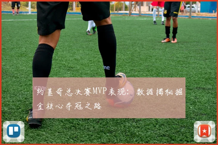 约基奇总决赛MVP表现：数据揭秘掘金核心夺冠之路